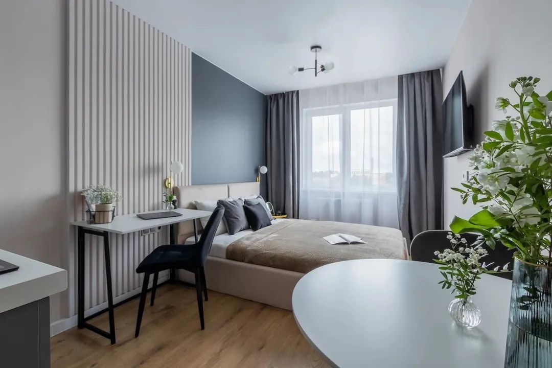 20㎡一字型公寓设计丨Ekaterina Shein-11