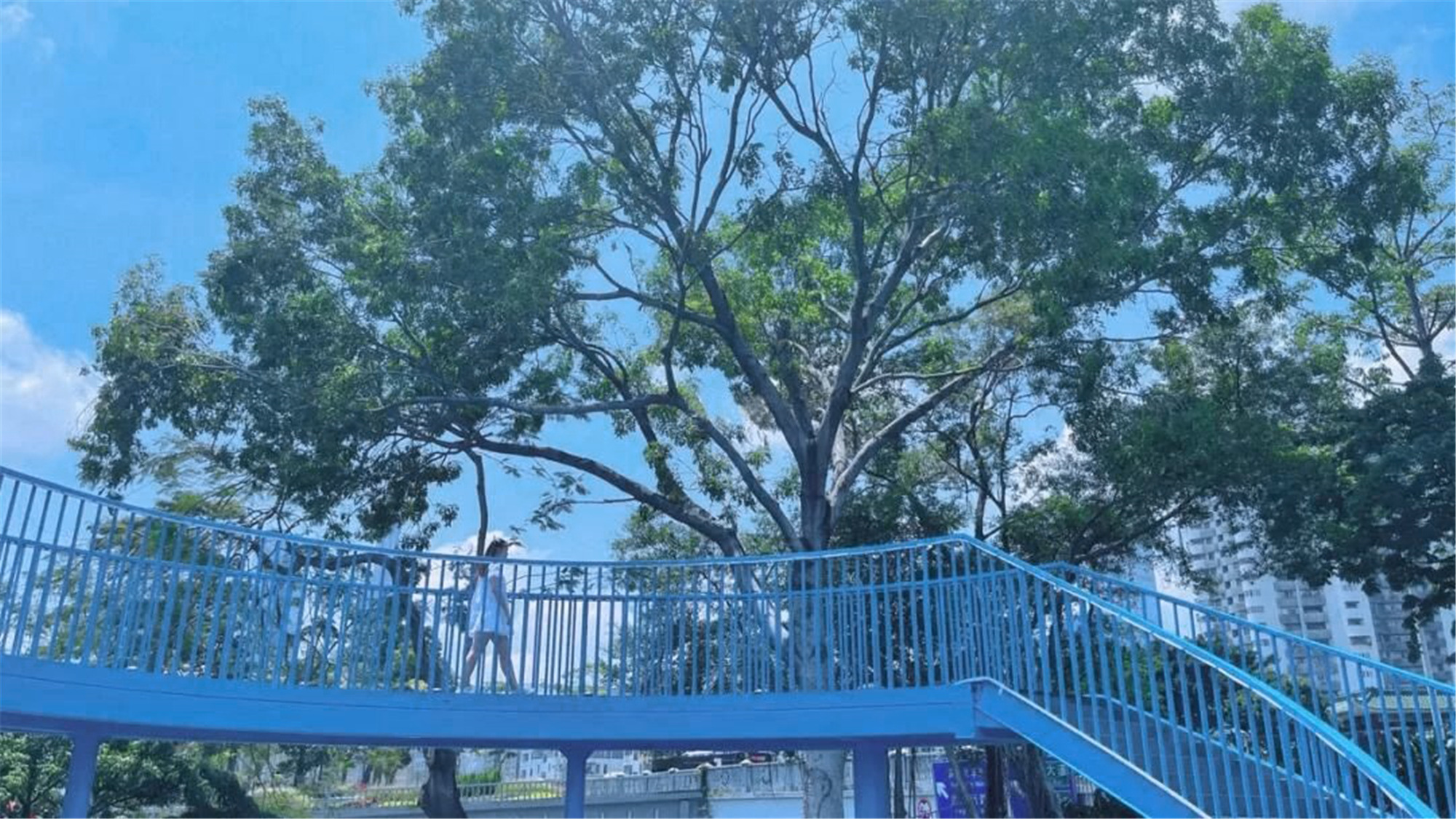 深圳笋岗 5G 智慧口袋公园丨中国深圳丨文科园林-11