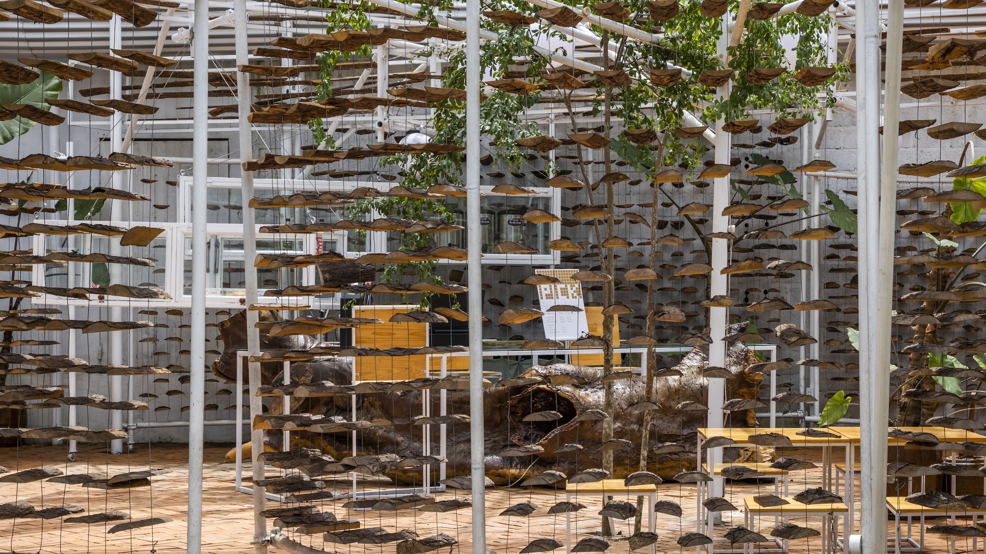 采茶，开花丨越南-36