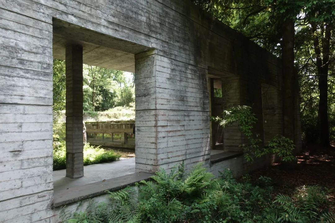 鹿野苑，经验与体验之间丨碎片笔记-86