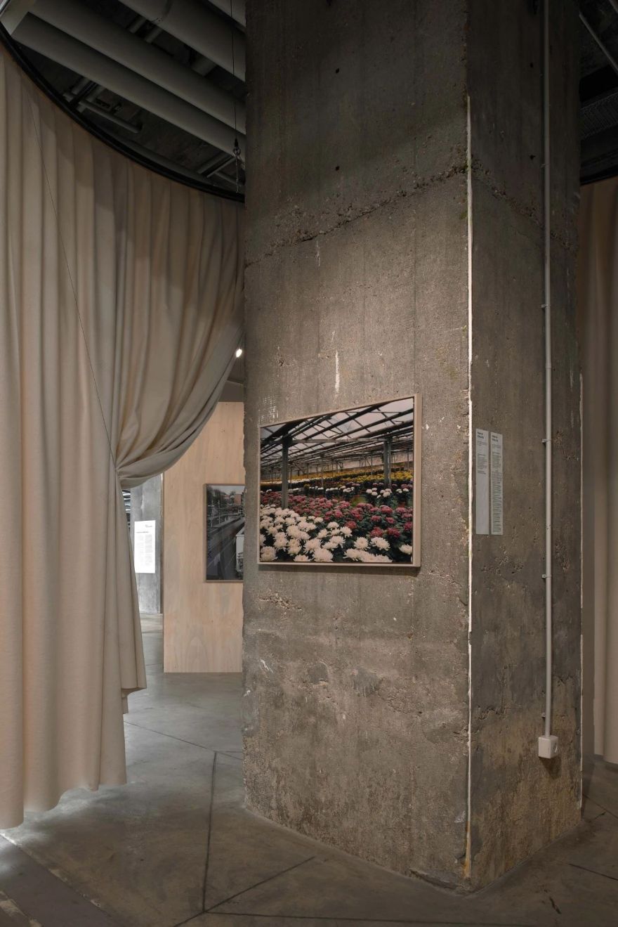 国内安排丨美国丨Carmody Groarke-73