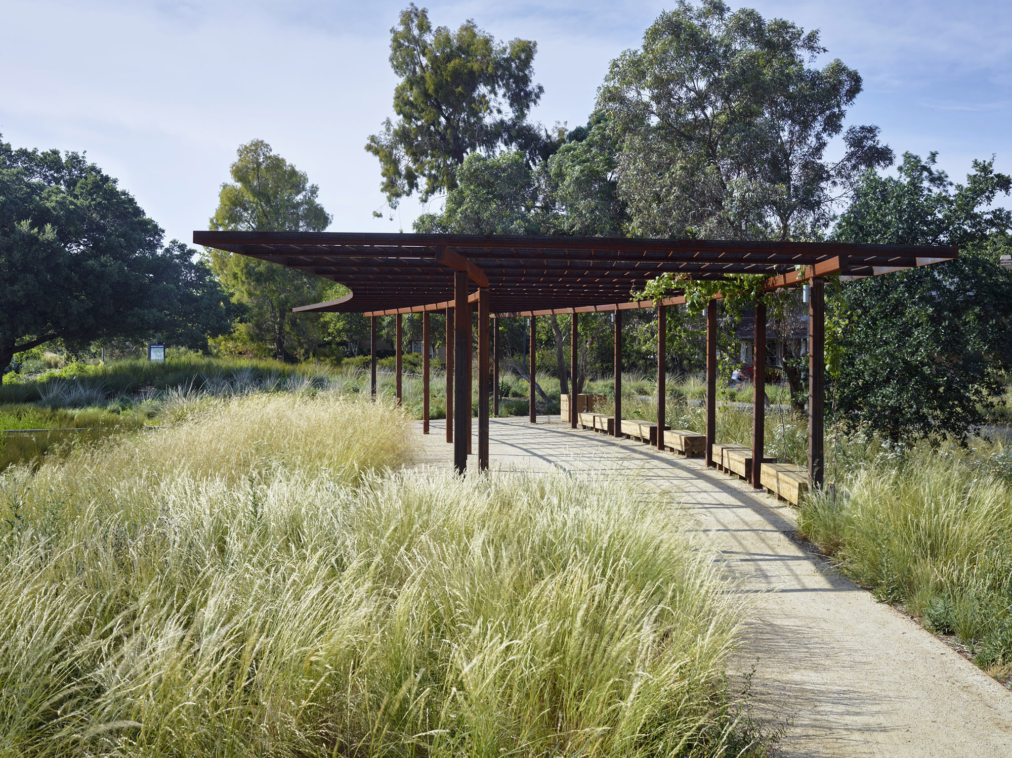 植物园大门的花园 arboretum gateway garden by Lutsko Associates Landscape-7