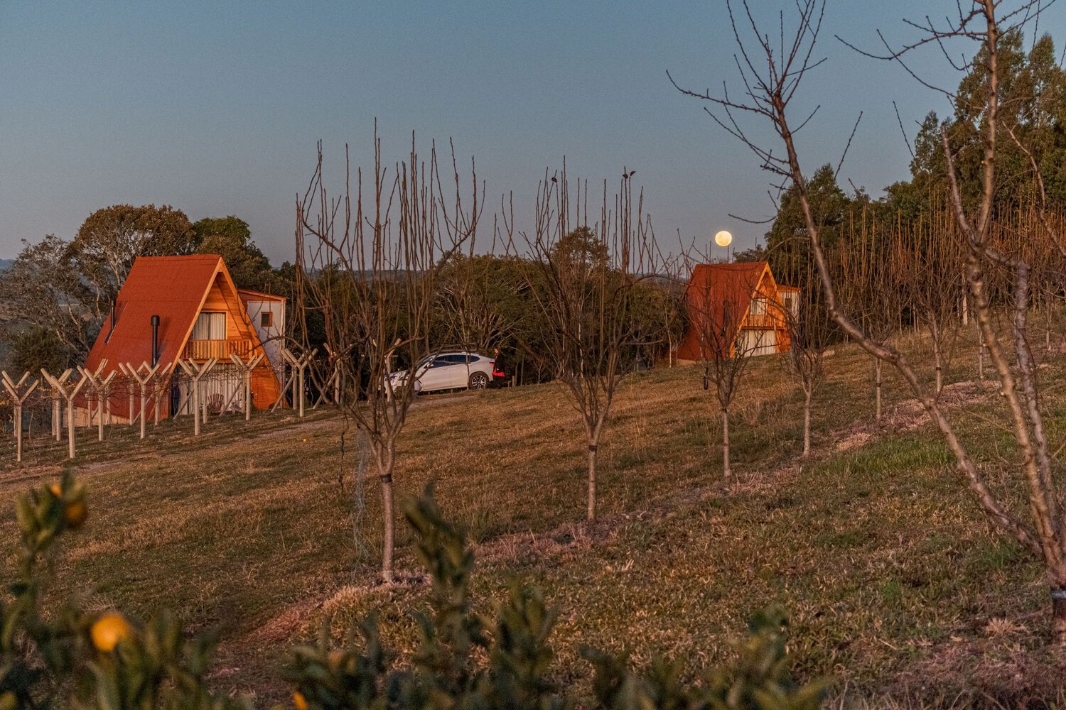 巴西 Pinto Bandeira 自然景观中的 La Pinta Chalets-37