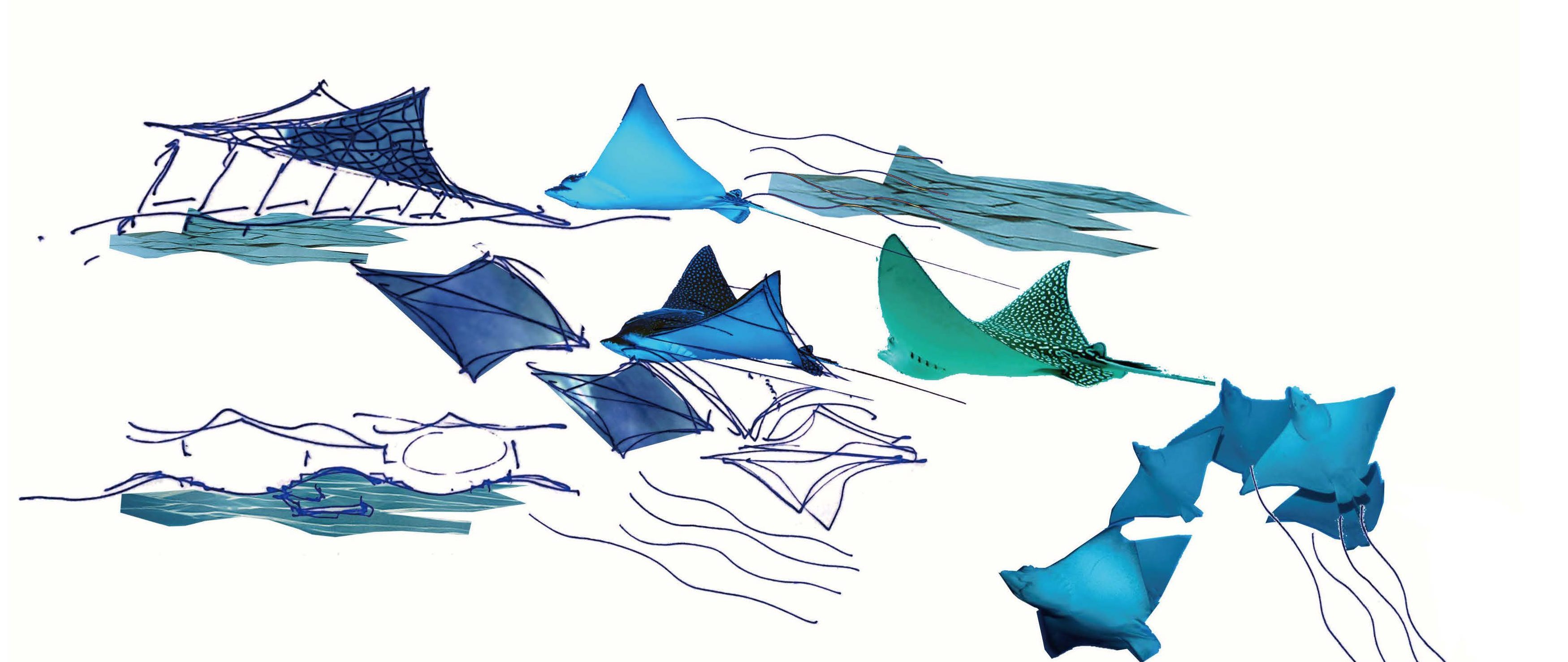 优秀奖方案 | 三亚崖州湾科技城文体中心（深海博物馆及体育中心） / EMBT+霍普股份-2