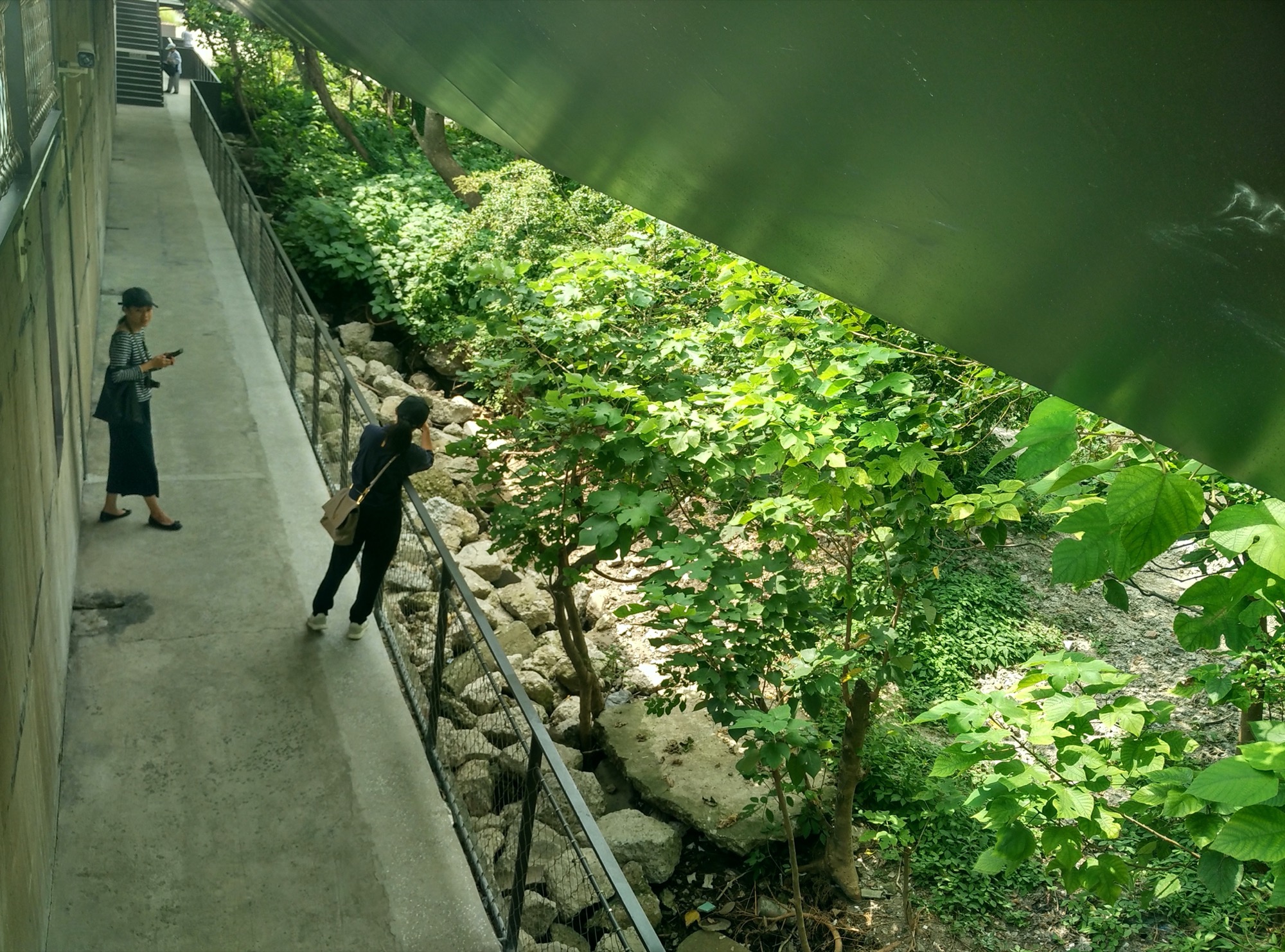 Edge Garden 景观设计丨中国上海丨YIYU-10