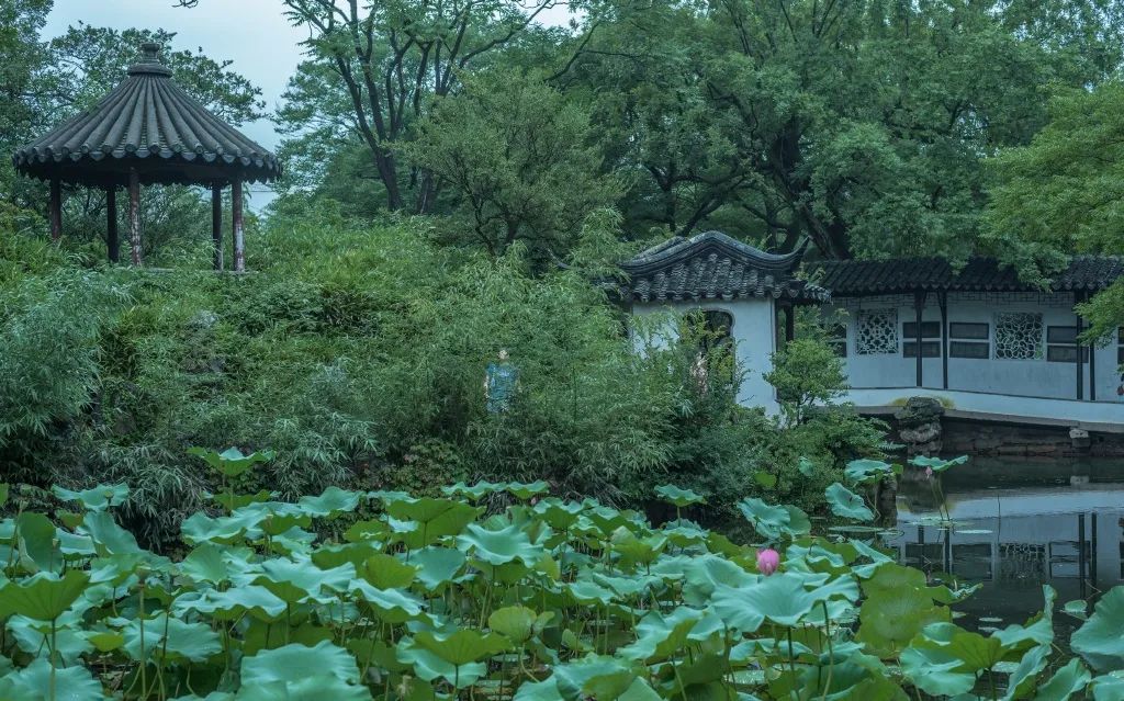 拙政园-33