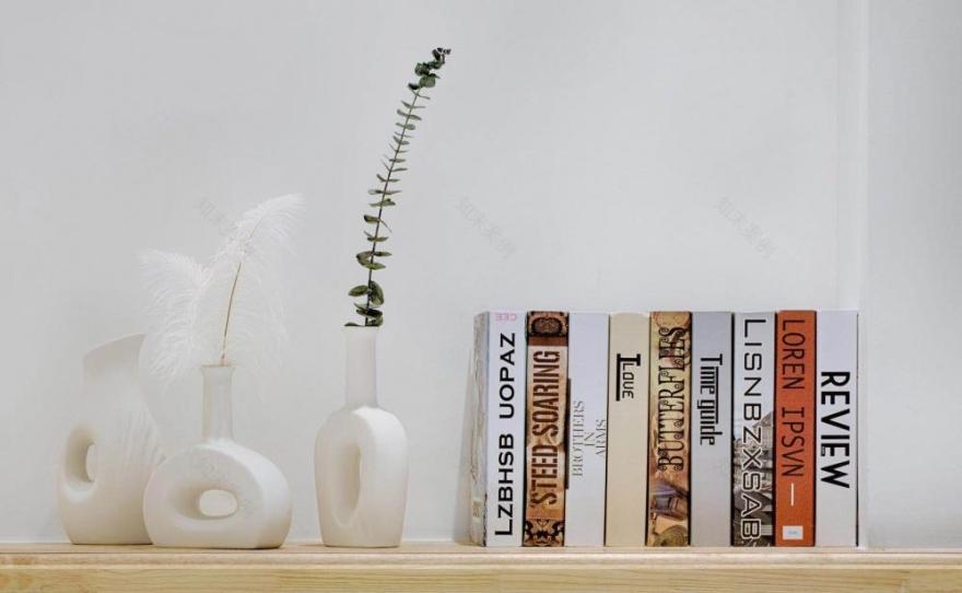 居家版生活 house | 木质与白墙的美学-12