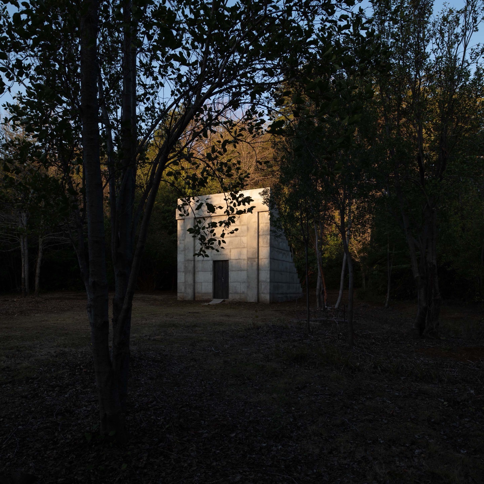 蜂蜜馆丨智利-48