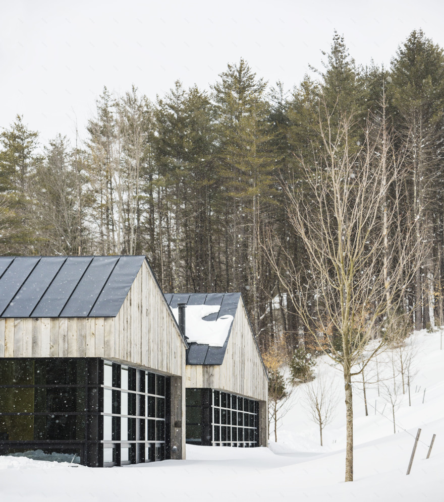 Woodshed | Birdseye-15