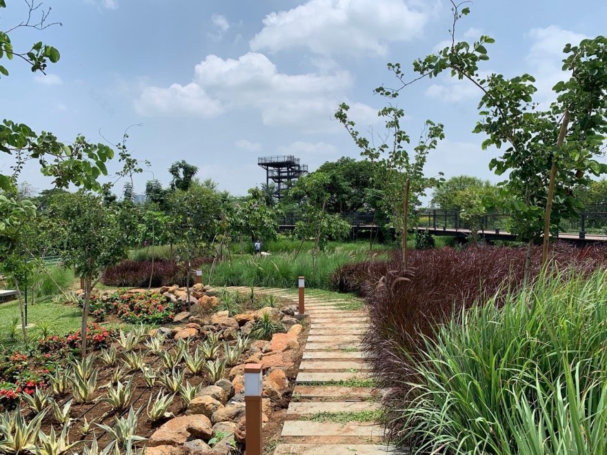 印度Manjari新城镇的总体规划-10