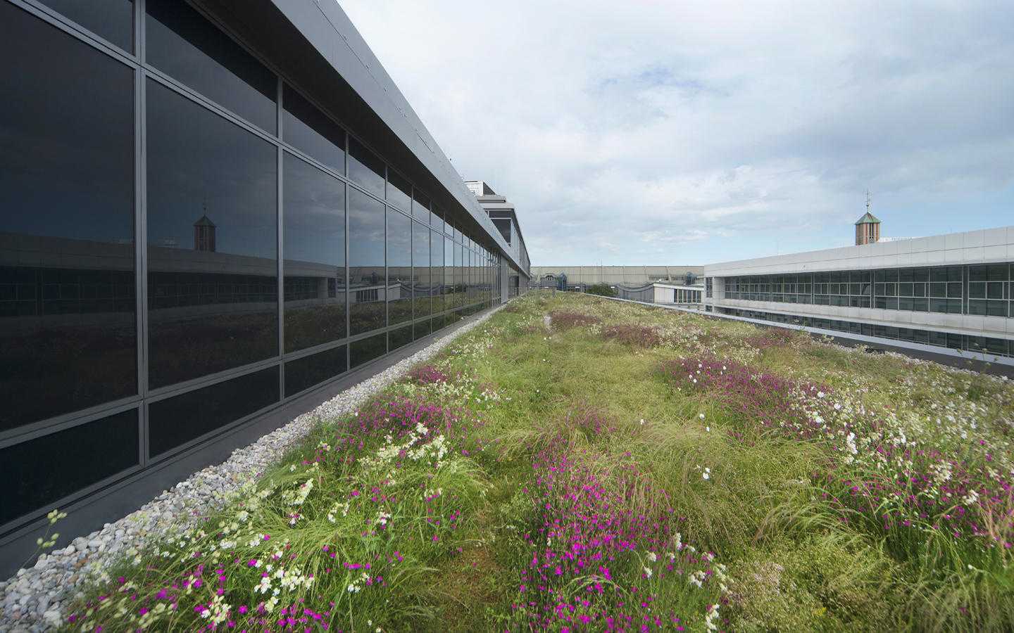 德国慕尼黑西门子总部公共庭院设计丨Henning Larsen 建筑师-3