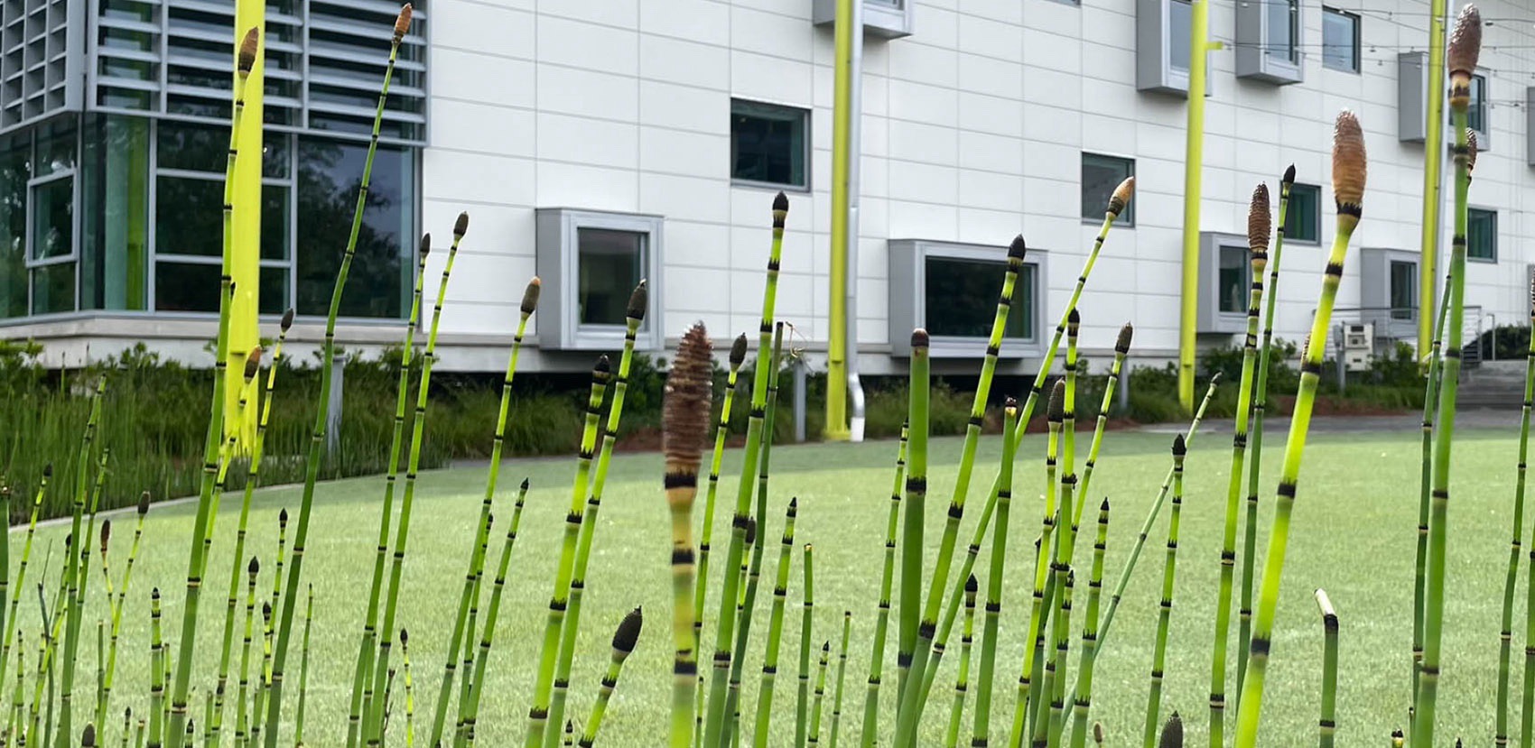 路易斯安那州儿童博物馆丨美国丨Mithun（建筑,室内设计）等多家机构-32