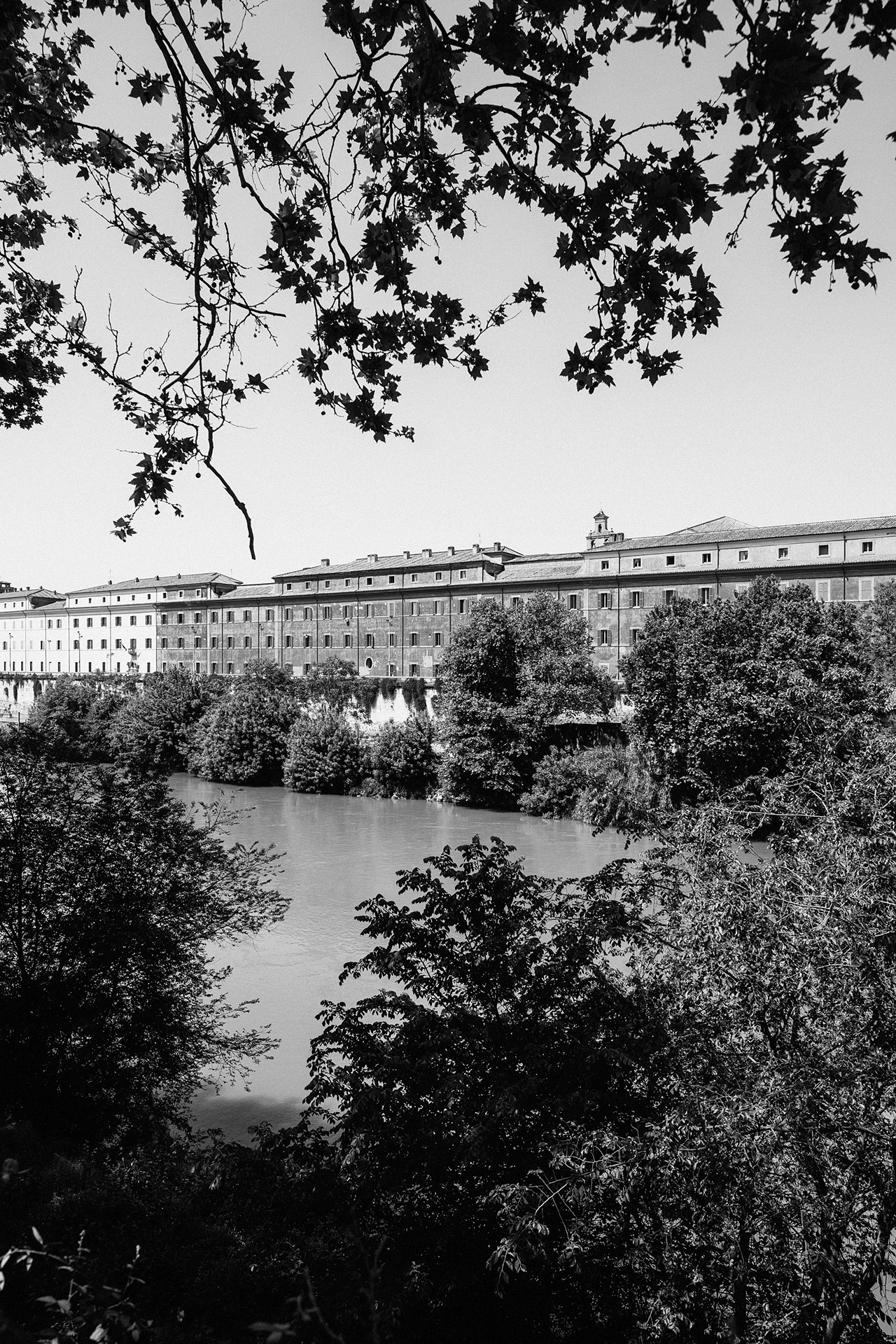 未命名丨Alexander Rentsch-34