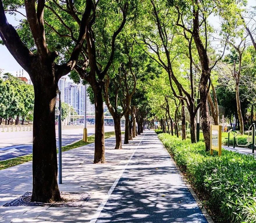 深圳福田侨香路景观提升丨中国深圳丨深圳文科园林股份有限公司-50