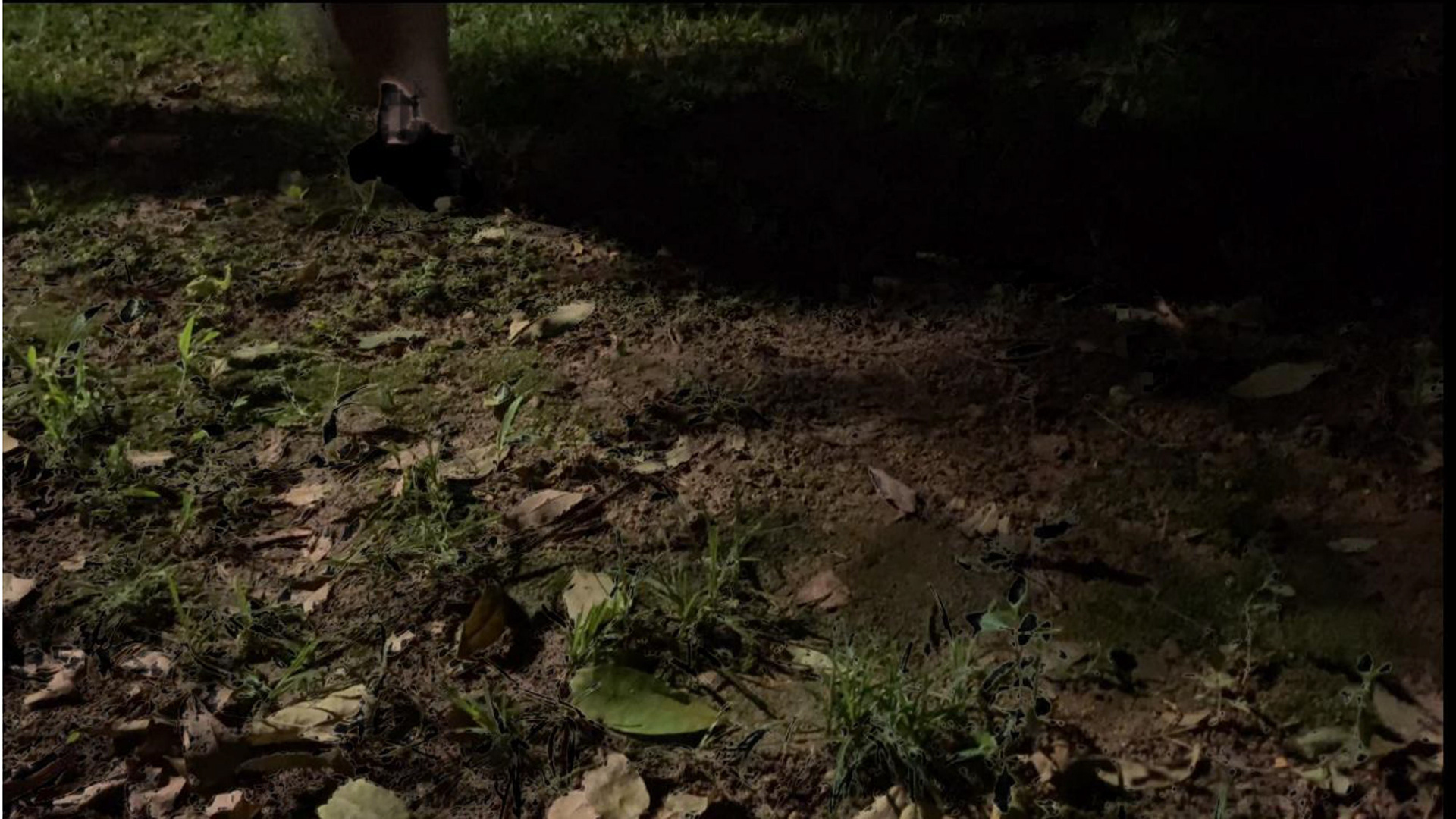 赋能未来创业者-16