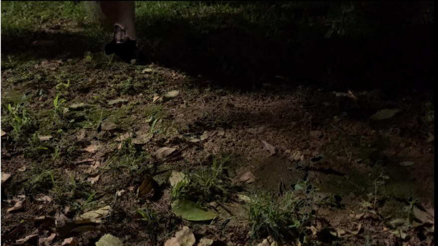 赋能未来创业者-16