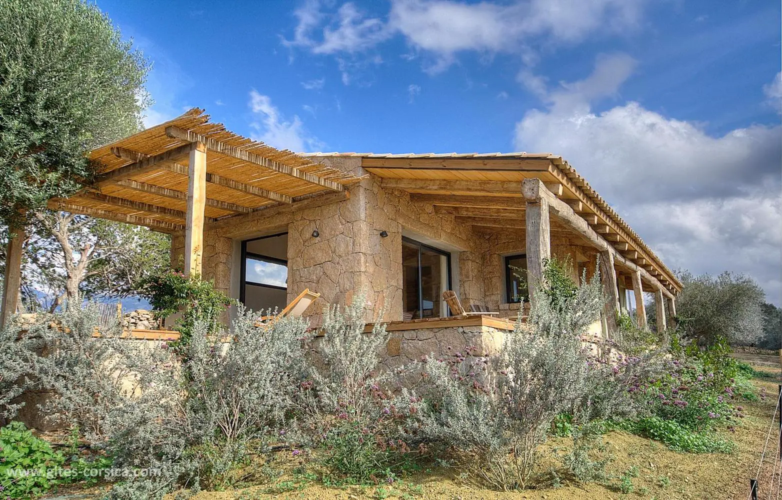 塞杰（Sajé）-14