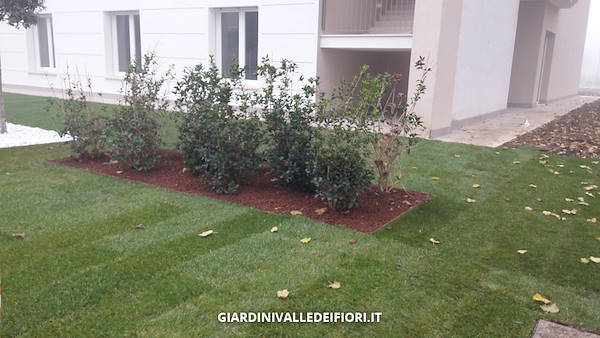 格林公园 老年人住宅花园(注:RSA在意大利语里常指Residenza per Anziani即老年人住宅,Giardino RSA可理解为与之相关的花园,但这里推测信息可能不太完整准确) 丨Giardini Valle dei Fiori的绿植专家团队-10