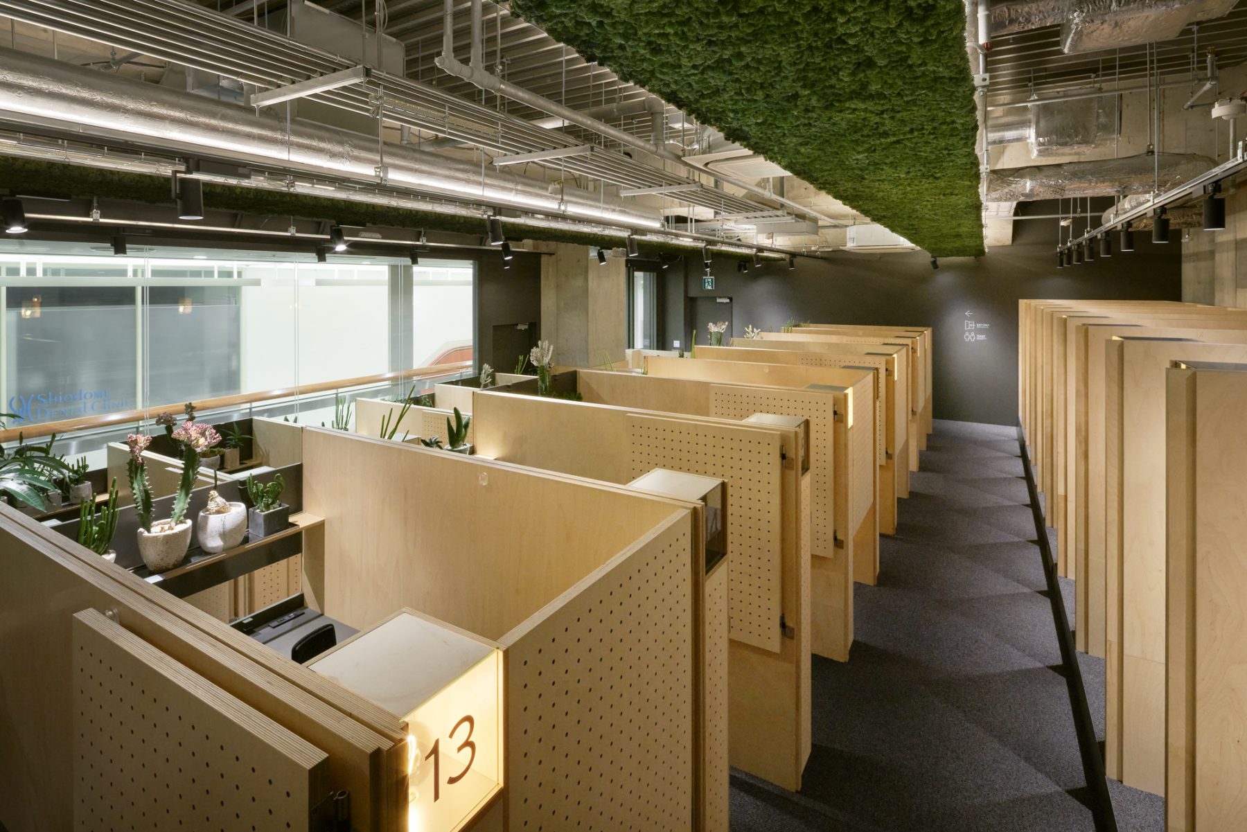 丨日本东京丨Jo Nagasaka,Schemata Architects-8