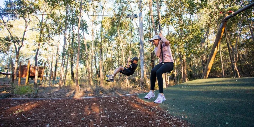 阿彻菲尔德湿地 · 后工业区生态休闲目的地丨澳大利亚丨普利斯设计集团布里斯班事务所-86