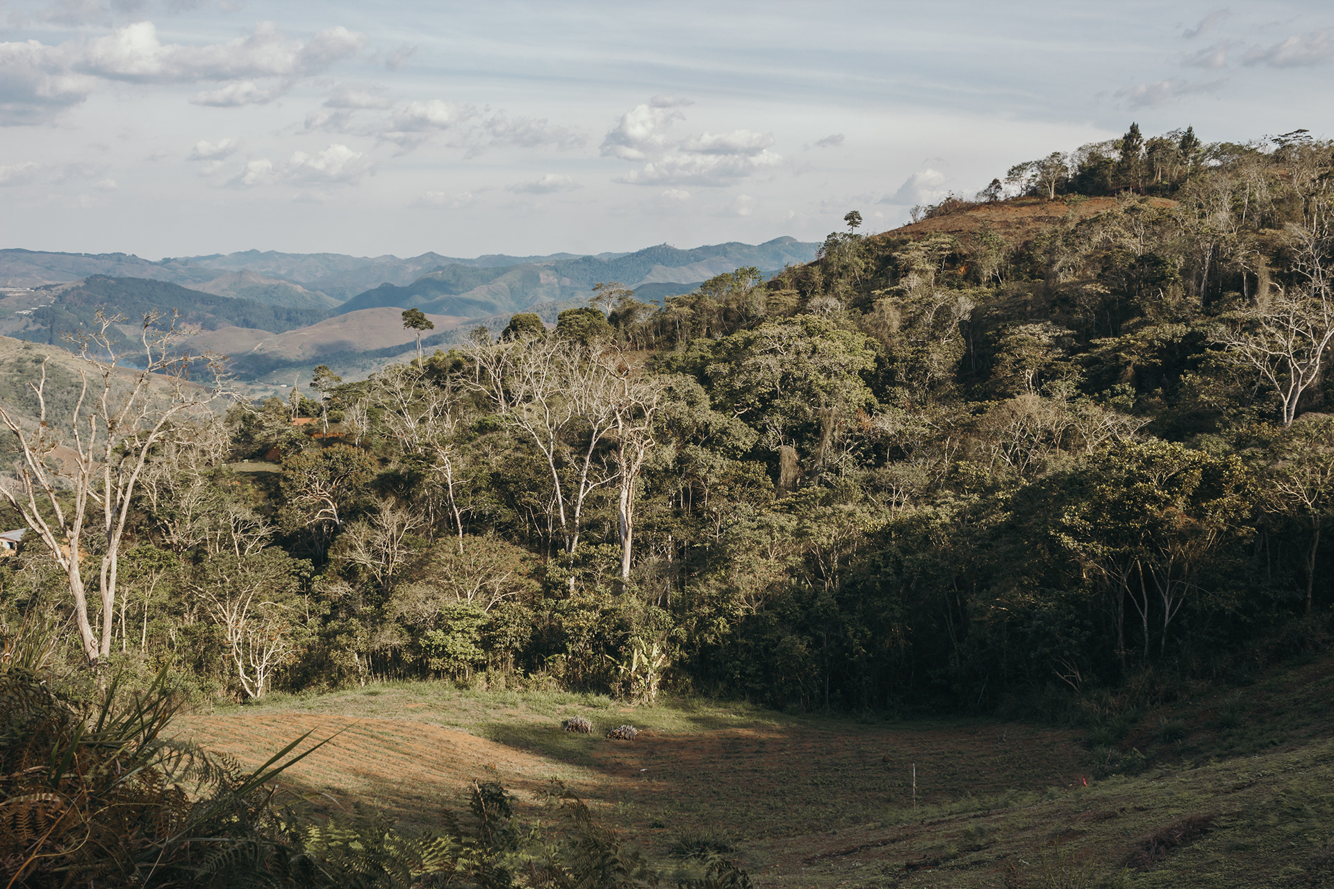 CMG 营地测绘丨委内瑞拉-37