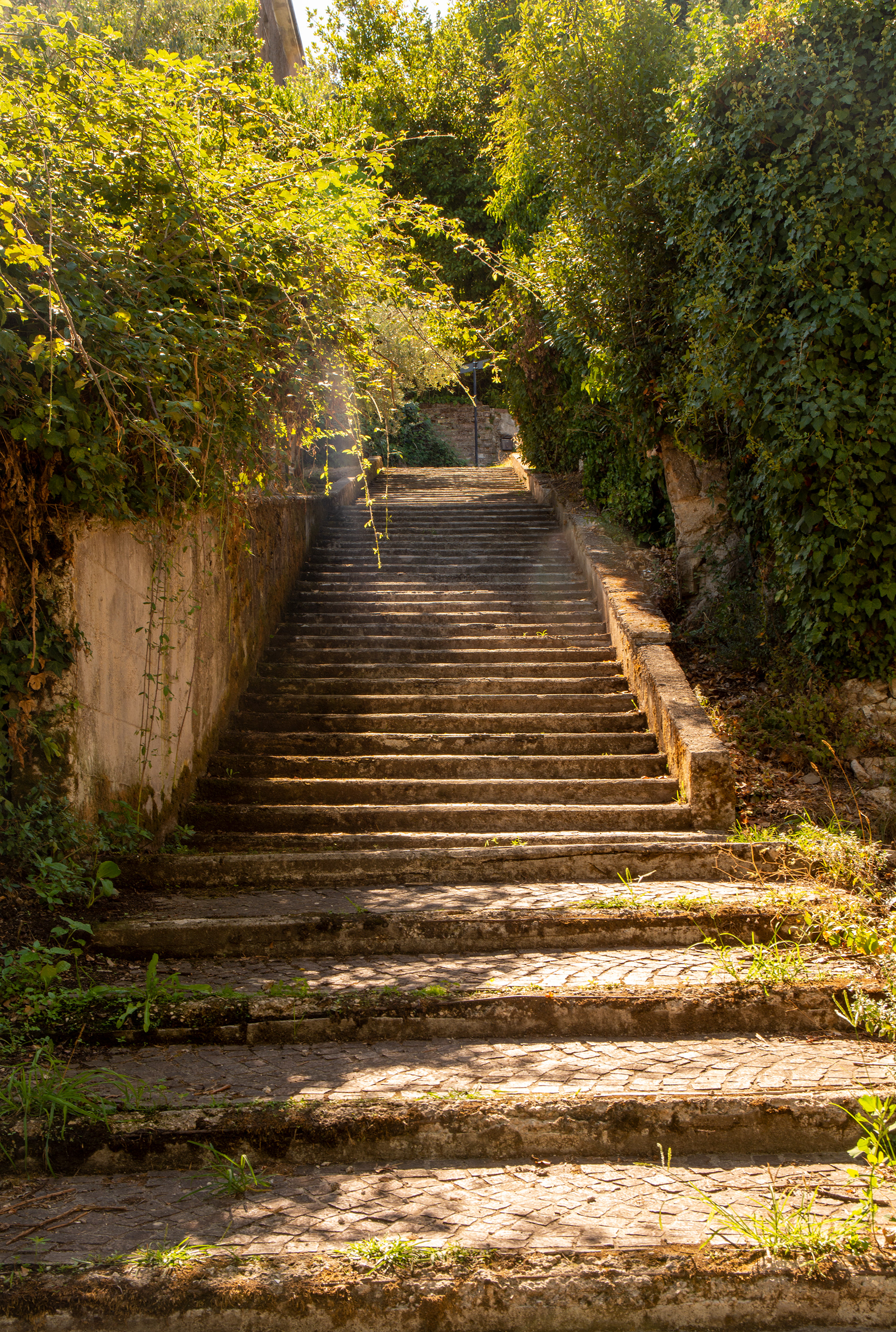 重新利用热那扎诺的宁芙庙丨意大利罗马丨Alena Kokueva,Silviya Al Ubed-19