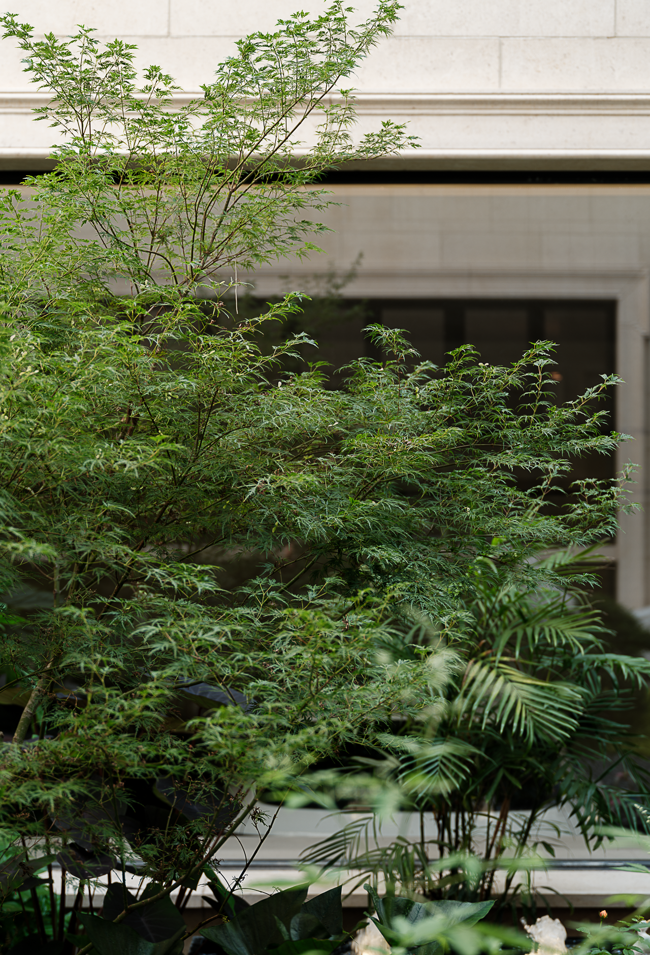 香樟园私人住宅丨中国无锡-51