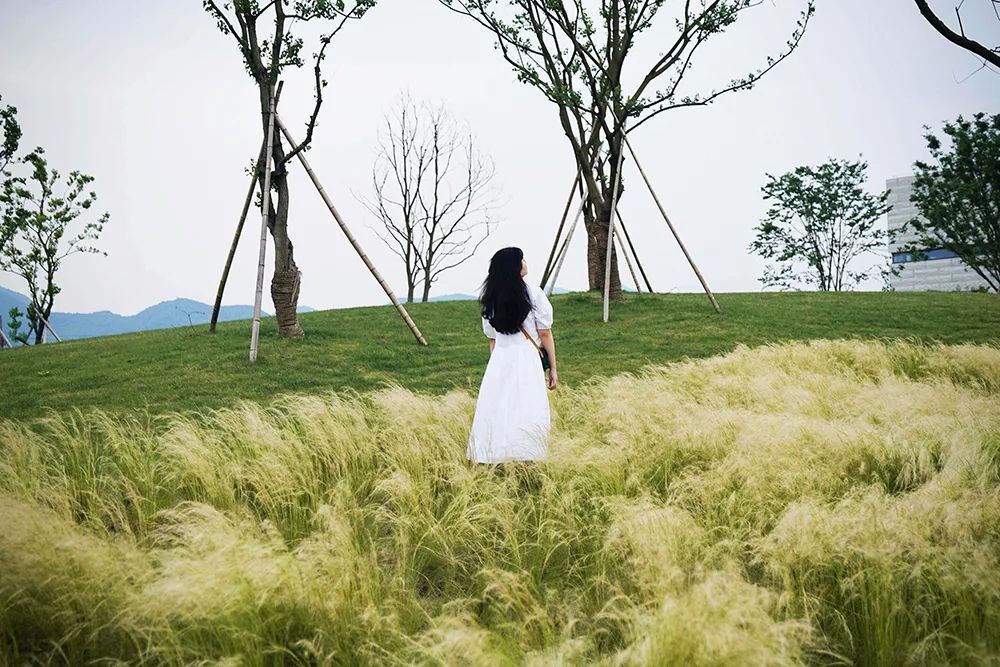 邂逅自然 | 宁波华侨城·欢乐滨海的自然景观设计-11