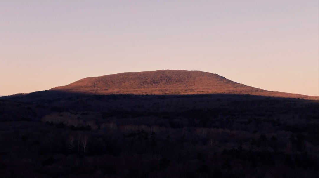 艺术家 Emily Cheng 的纽约新家丨美国丨琚宾-3