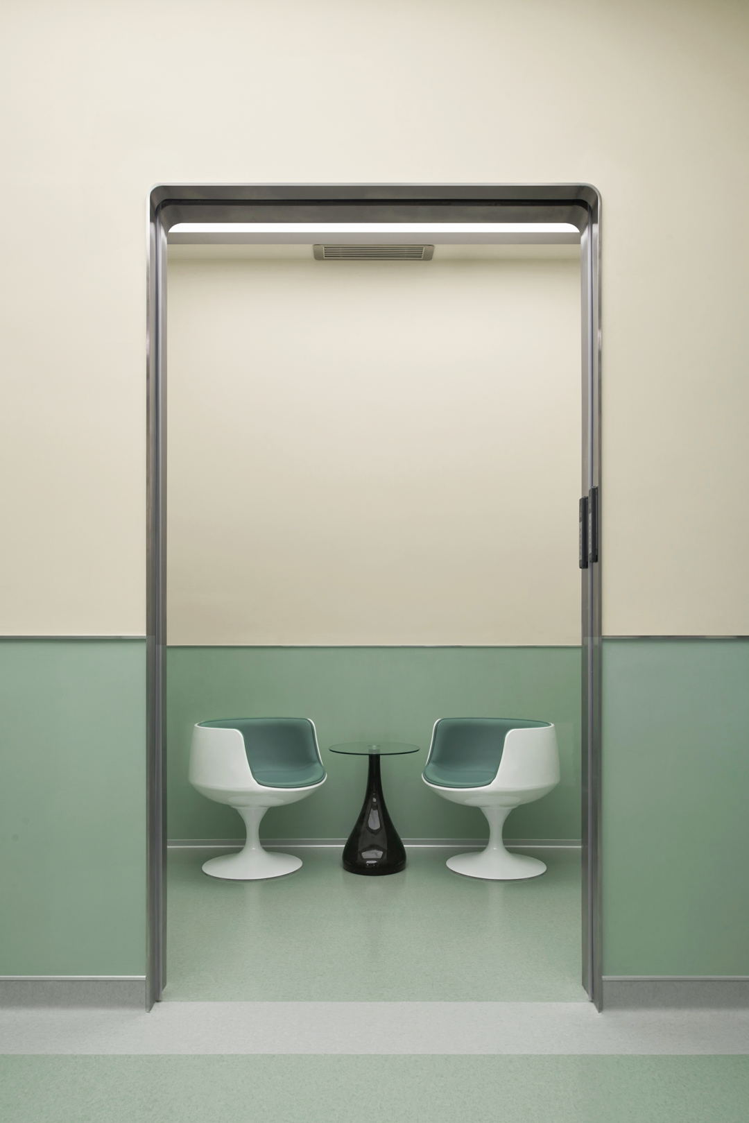 bibu宠物店丨中国广州丨今朝风日好ofD-56