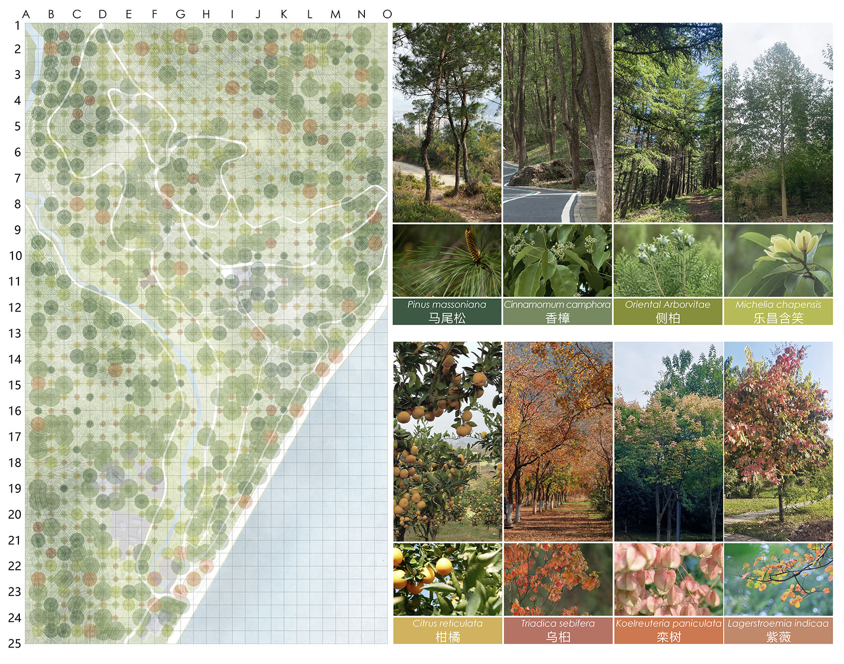 小溪塔森林公园丨中国宜昌丨HID翰地景观-19