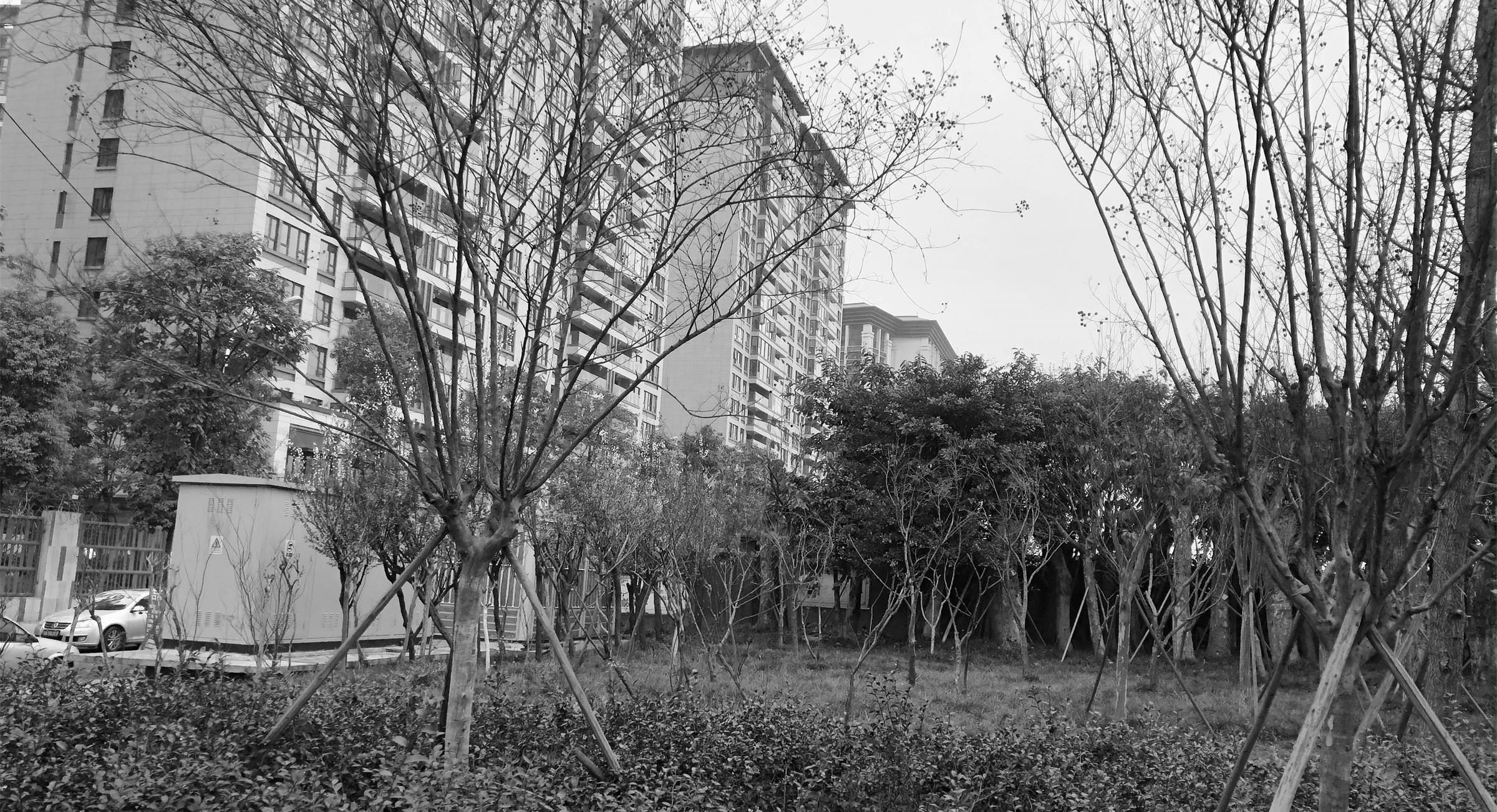 中国铁建·西派金沙丨中国成都-18