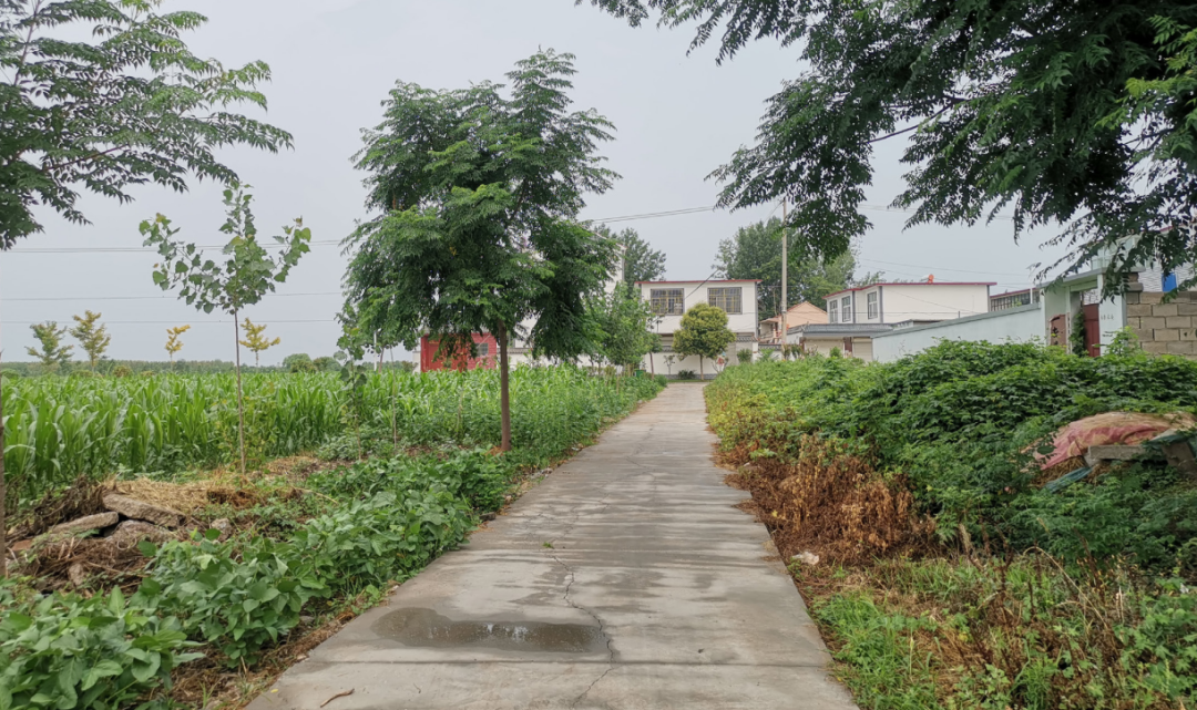 微湖渔村·乐居吕蒙 · 微山县微山岛镇乡村振兴示范村建设工程丨中国山东丨上海亦境建筑景观有限公司,上海交通大学设计学院风景园林研究所-99