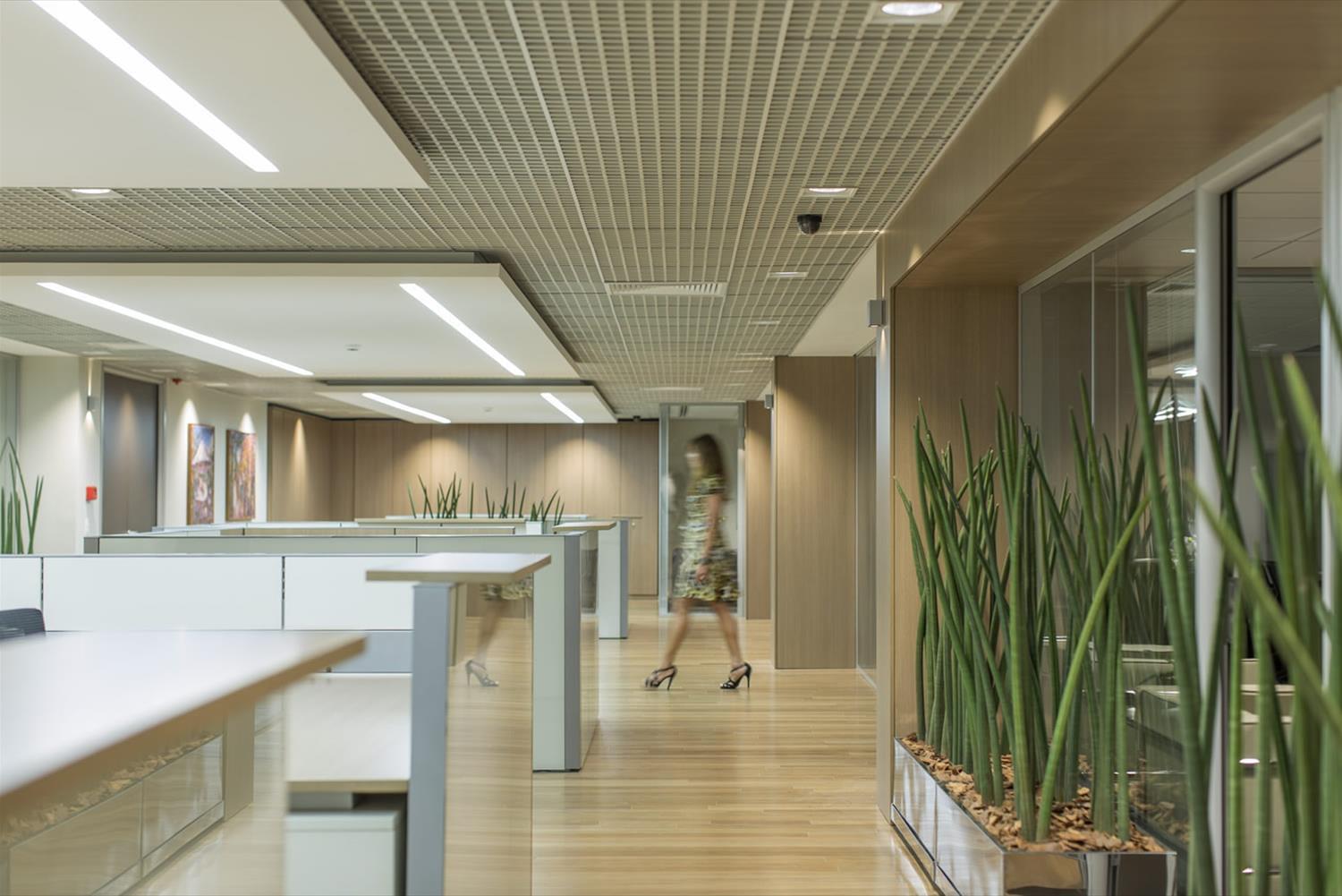 贝蒂·比尔格建筑与设计办公室-4