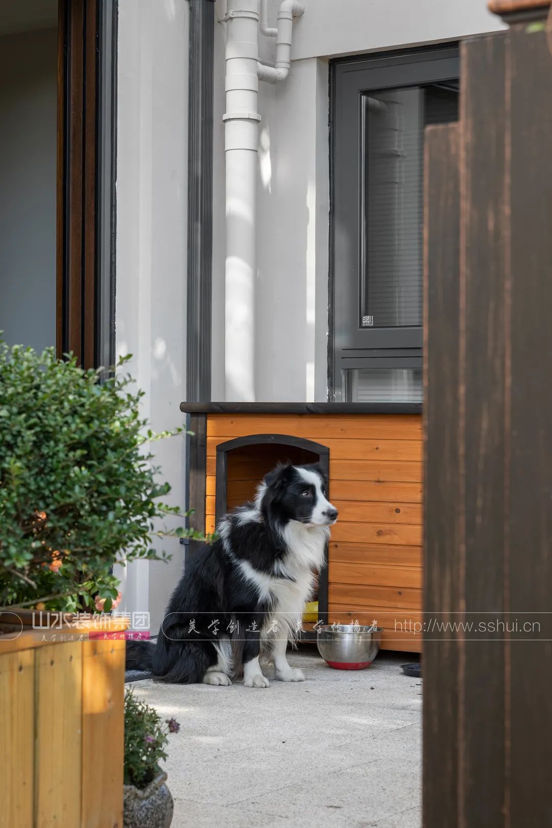 绿意盎然,现代生活与自然的完美融合丨张章-62