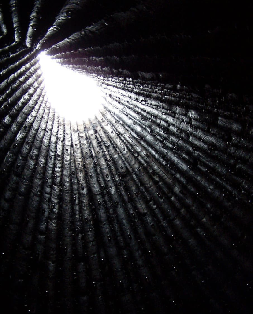 克劳斯兄弟田野教堂-29