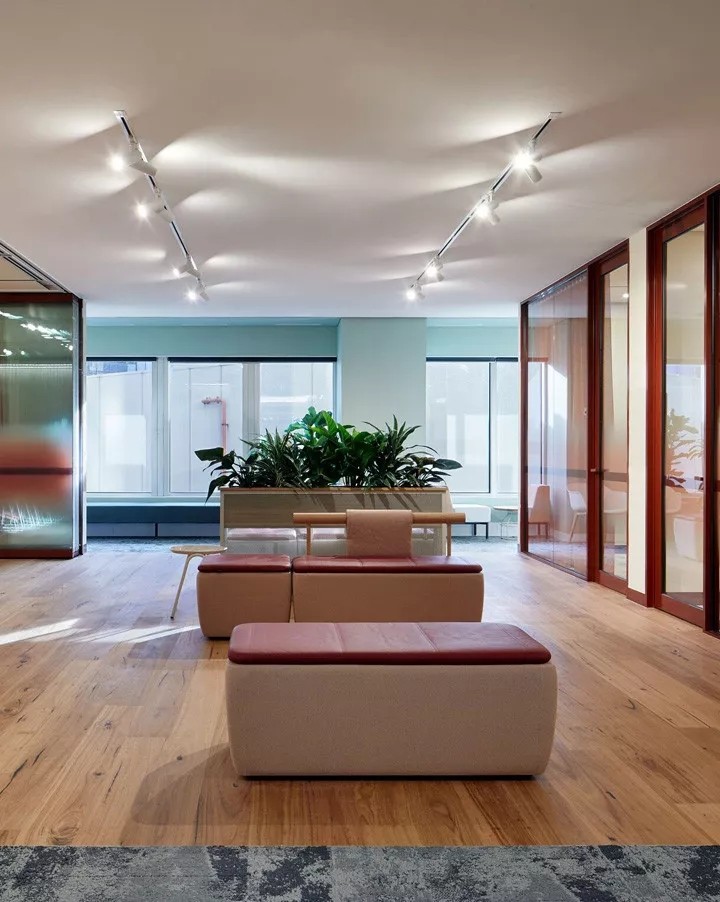 澳大利亚 EWOV 总部,现代休闲风打造心理舒适办公空间-14