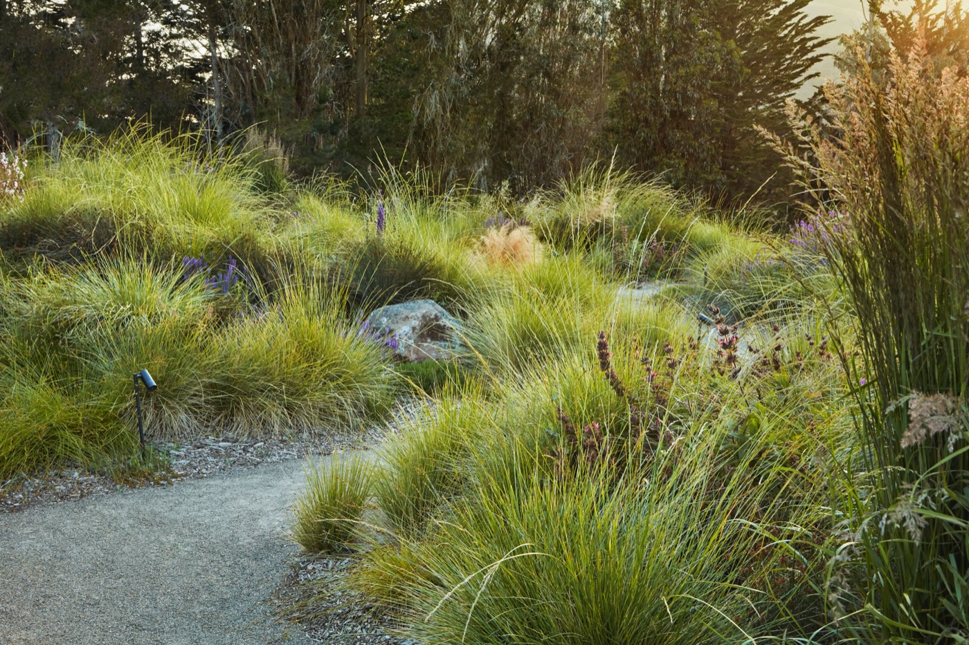 加州牧场风景中的诗意花园丨美国加利福尼亚丨Terremoto-11