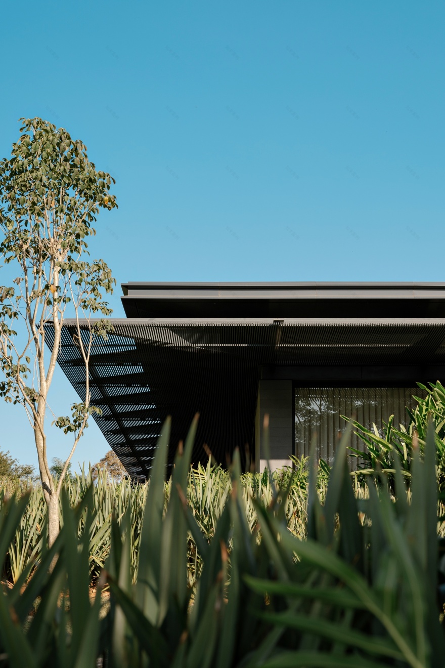 CL住宅:在地的营造丨巴西圣保罗-11