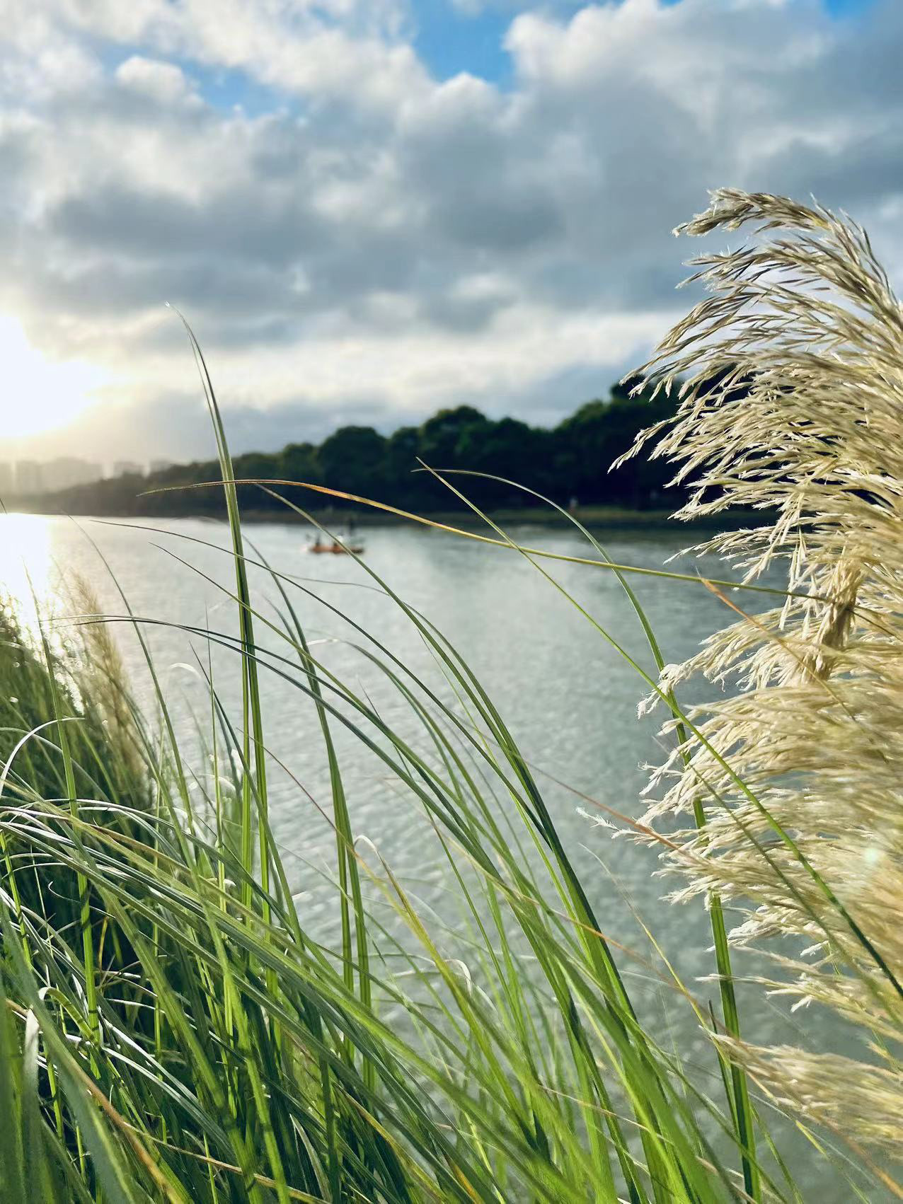 上海浦东张家浜 | Shanghai-3
