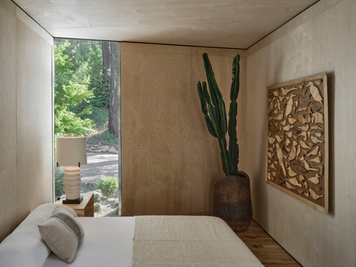 纳帕山巅 · 烧毁后的温暖重塑丨Brandon Jørgensen-19