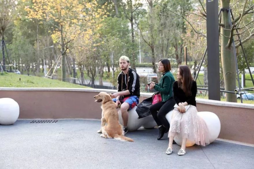 深圳福田区景田北社区公园群-51