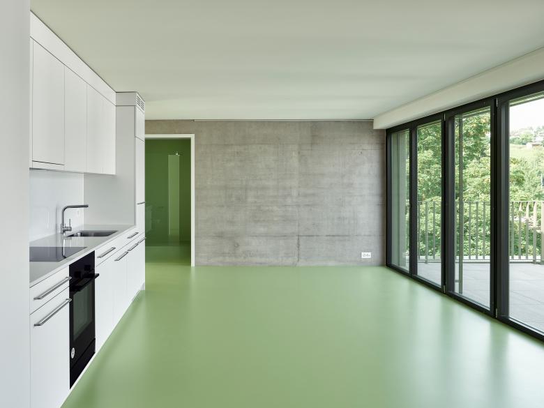 西卡调味草丨瑞士苏黎世丨Fischer Architekten AG-24