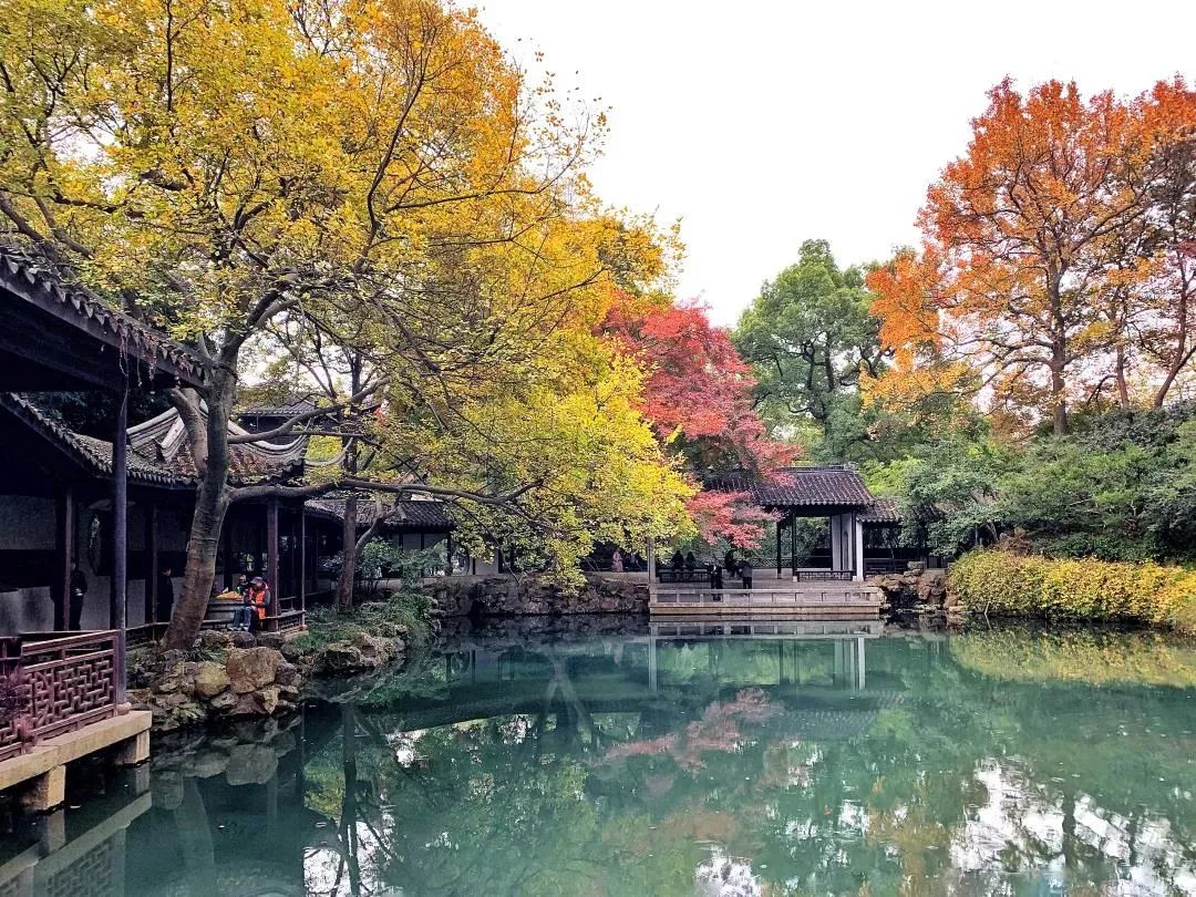 寄畅园 · 山水之间的静谧园林之美丨中国无锡-14