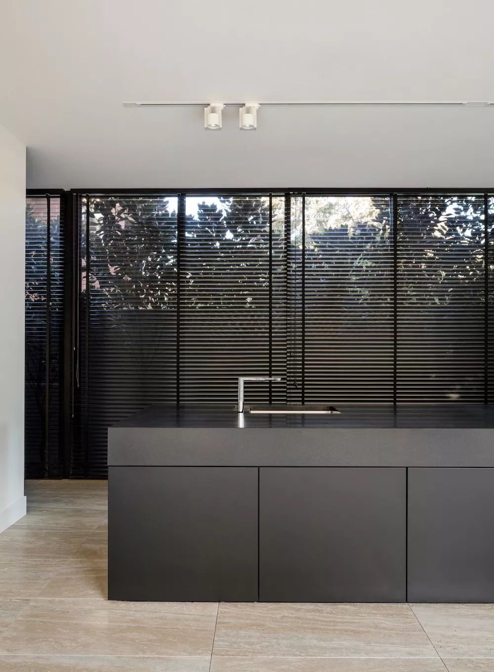 Davidov Architects | 住宅与公共概念的融合-46