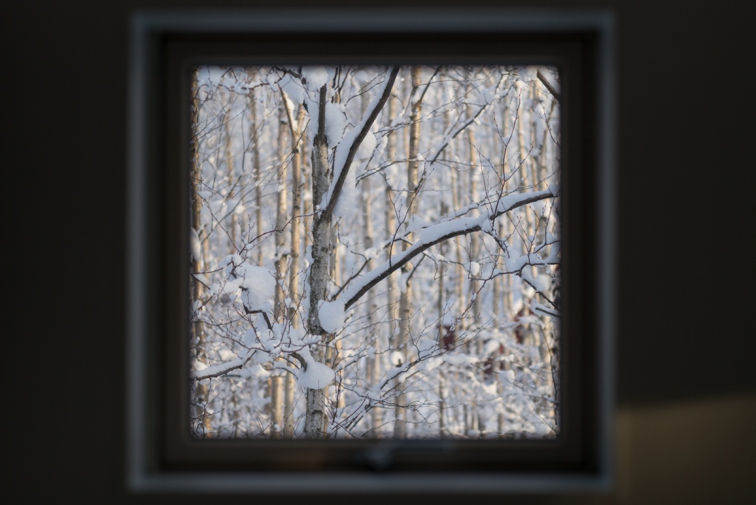 日本 K House | 原木奢华,与自然共生-40