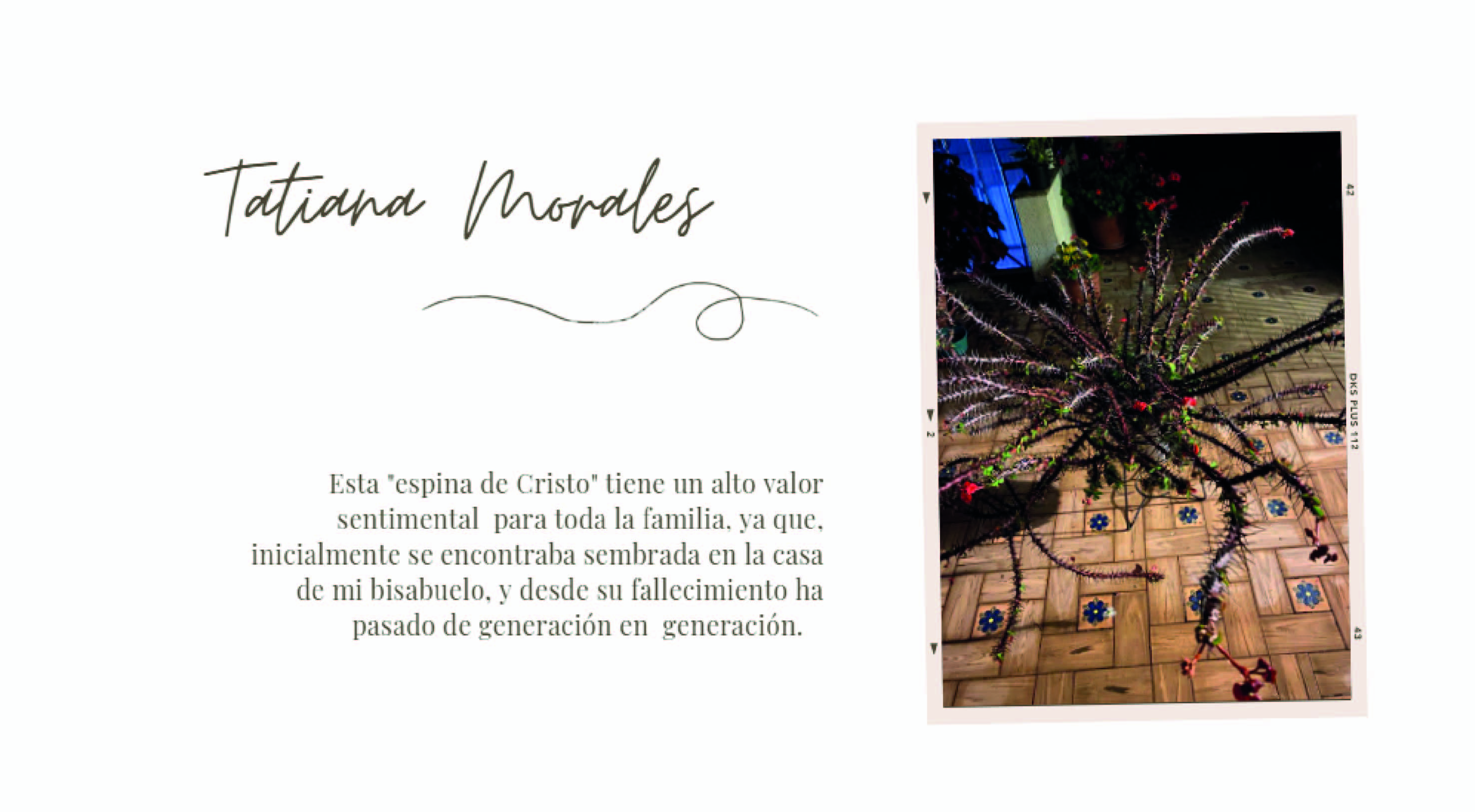 ARQT 2303 - Entorno CULTURAL-6