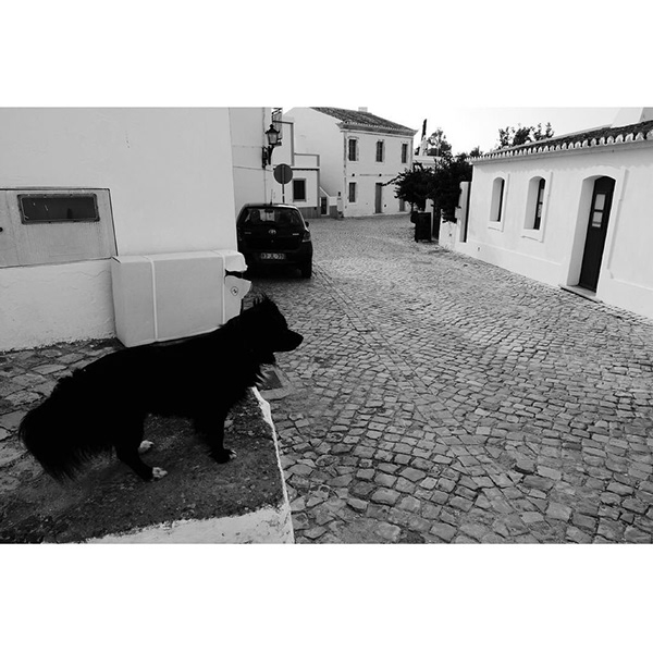 穿越内心王国之旅-19