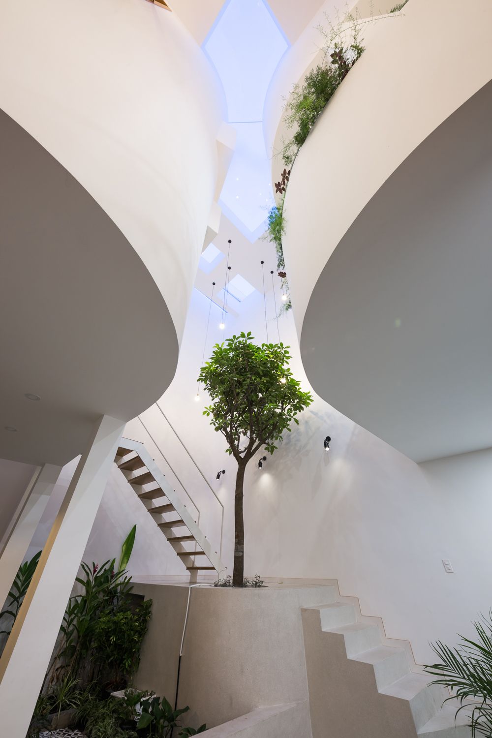 女儿之家（Daughter house）-7