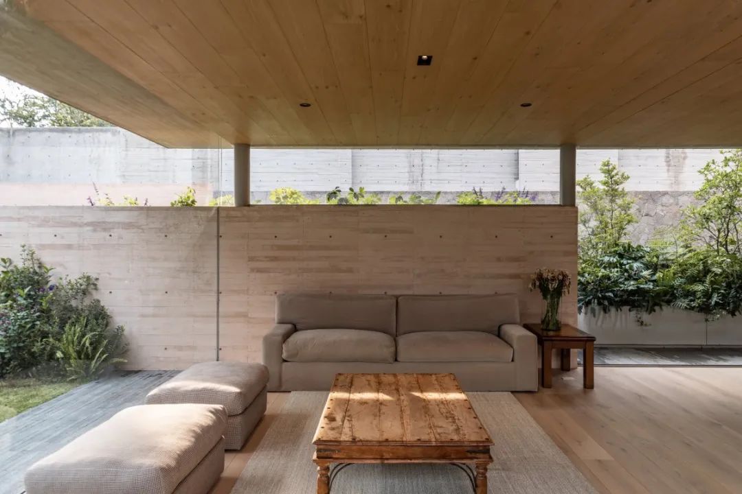 特霍科特之家丨墨西哥丨Gonzalez Muchow Arquitectos-53